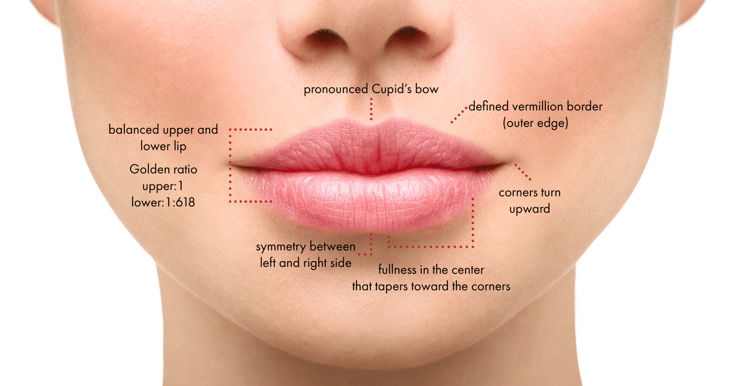 Lips filler